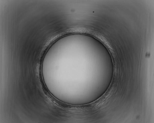 X0000100780434200806191020