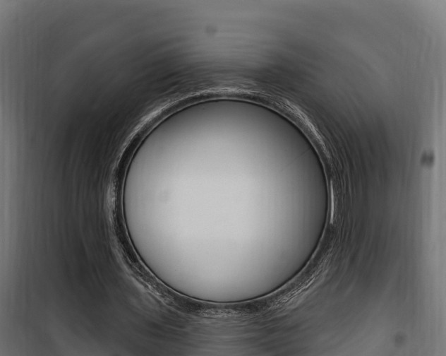 X0000100780435200806191020