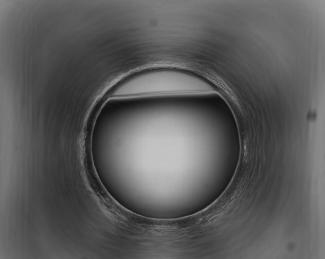 X0000100780436200806191020