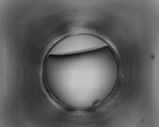 X0000100780437200806191020