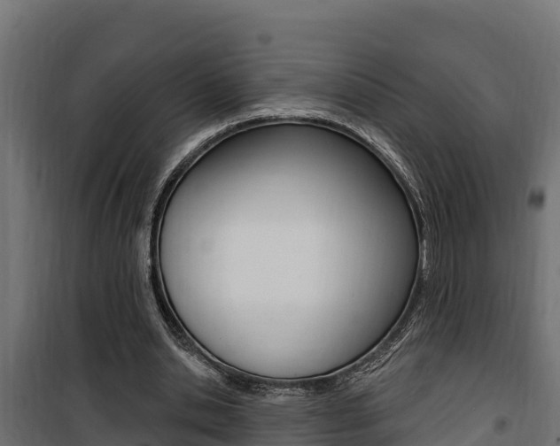 X0000100780438200806191020