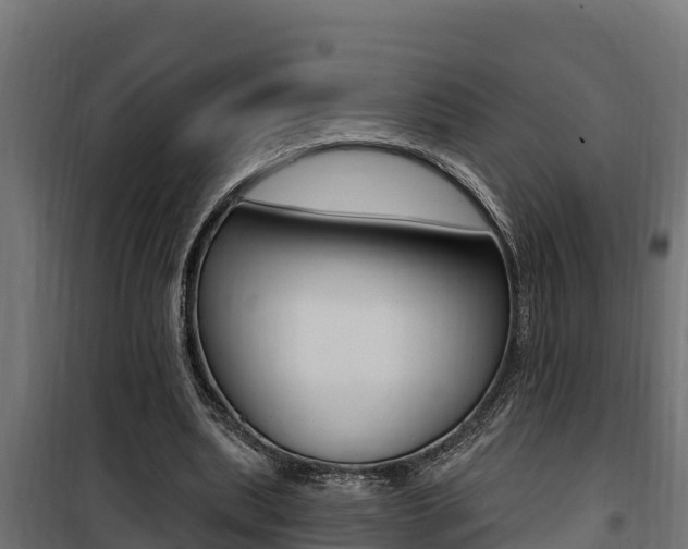 X0000100780439200806191020