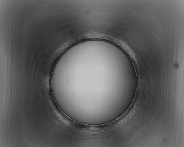 X0000100780441200806191020