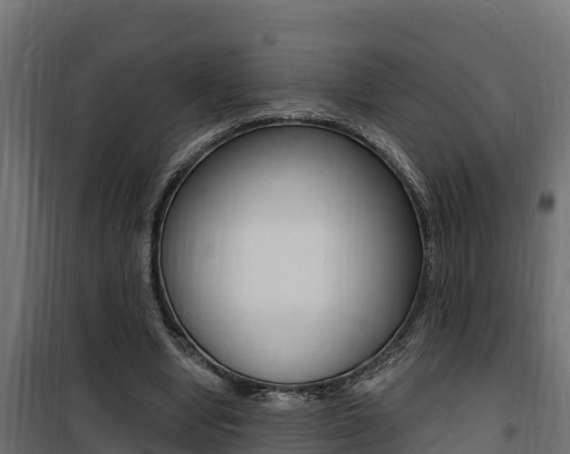 X0000100780442200806191020