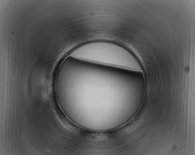 X0000100780443200806191020