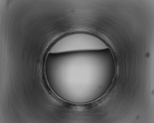 X0000100780444200806191020