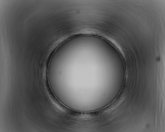 X0000100780445200806191020