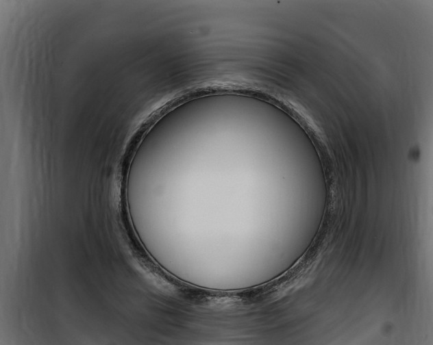 X0000100780446200806191020