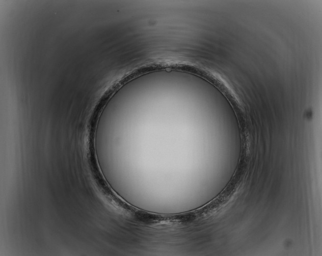 X0000100780447200806191020