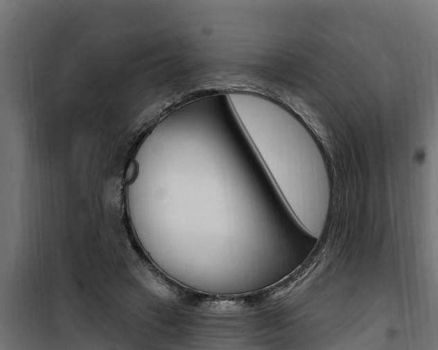 X0000100780449200806191020