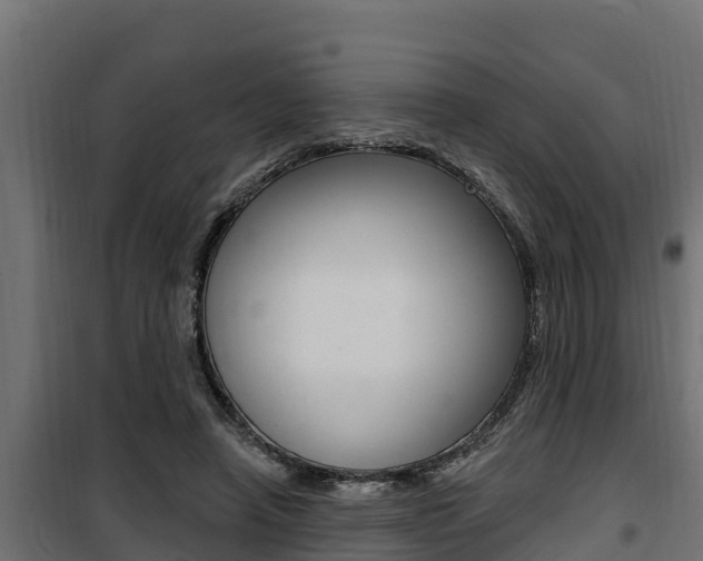 X0000100780450200806191020