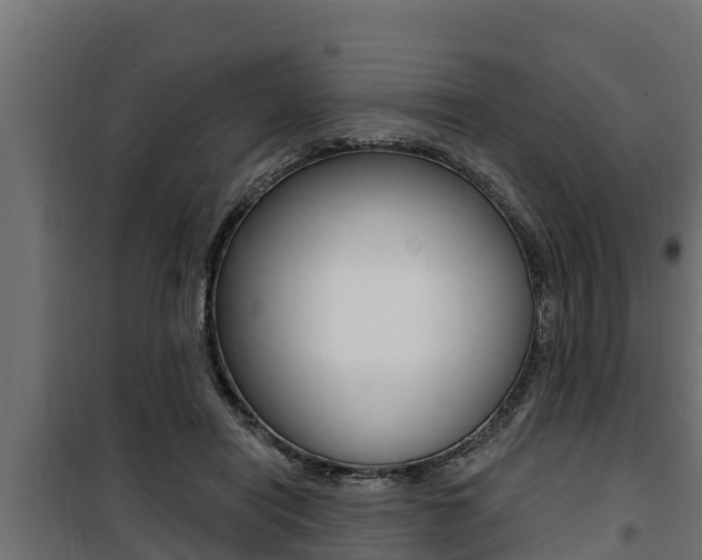 X0000100780454200806191021