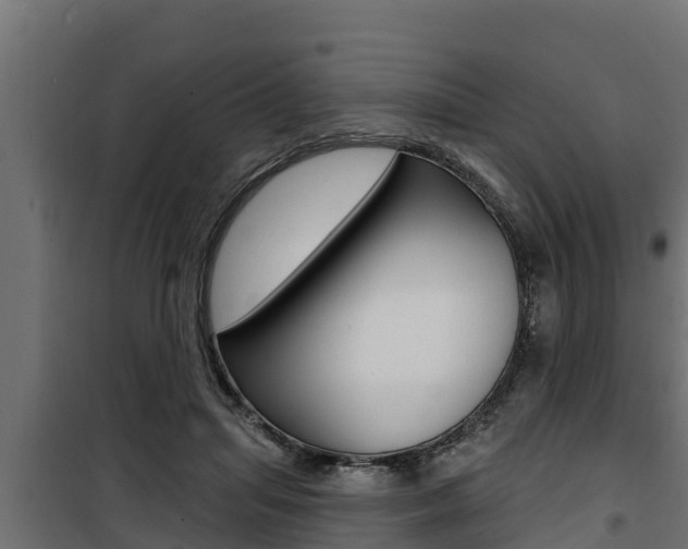 X0000100780455200806191021