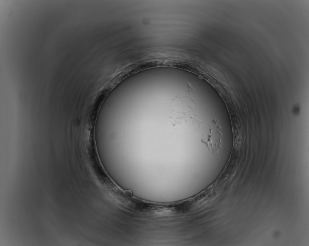 X0000100780456200806191021