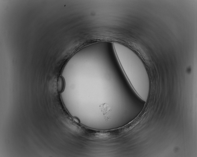 X0000100780457200806191021