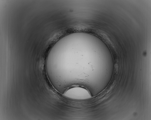 X0000100780458200806191021