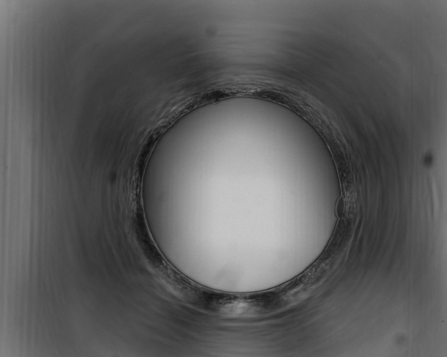 X0000100780460200806191021