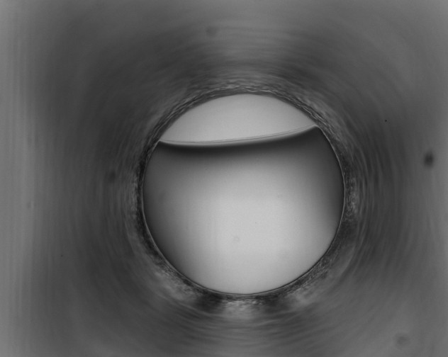 X0000100780461200806191021