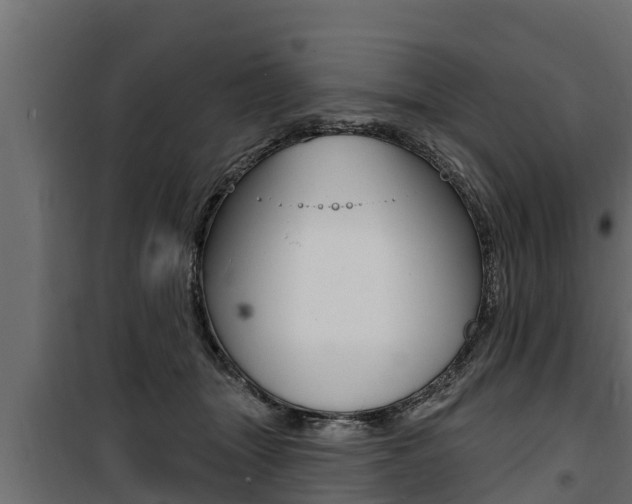 X0000100780463200806191021