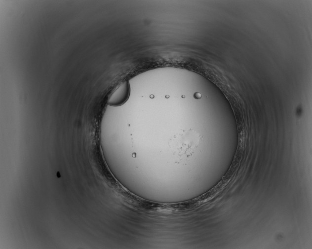 X0000100780464200806191021