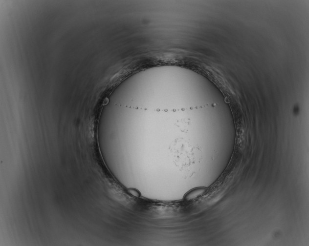 X0000100780466200806191021