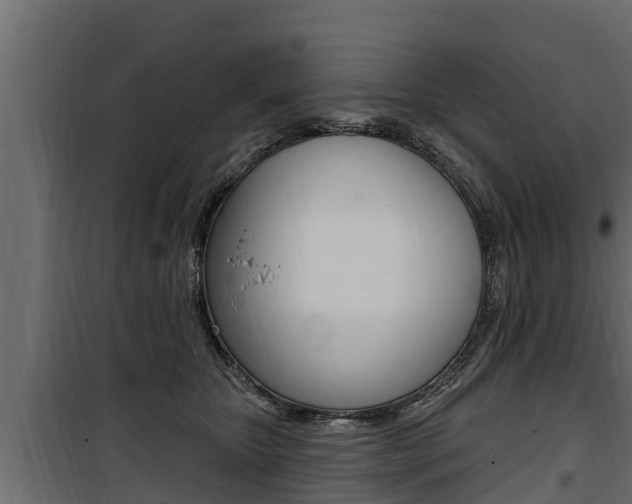 X0000100780467200806191021