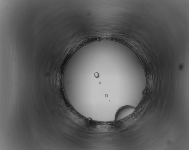 X0000100780470200806191021