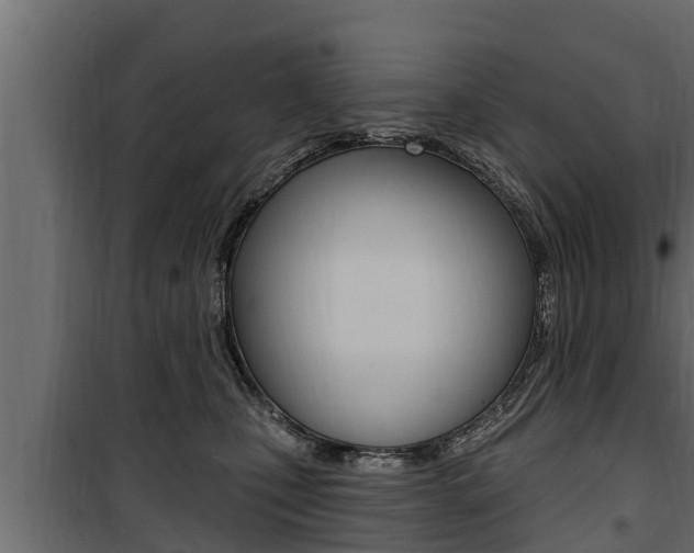 X0000100780471200806191021