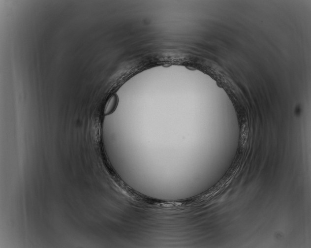 X0000100780474200806191021