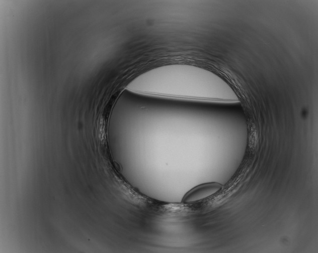 X0000100780477200806191021