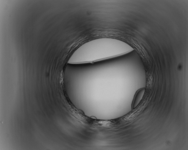 X0000100780478200806191021