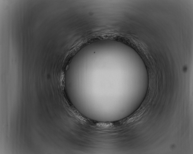 X0000100780480200806191021