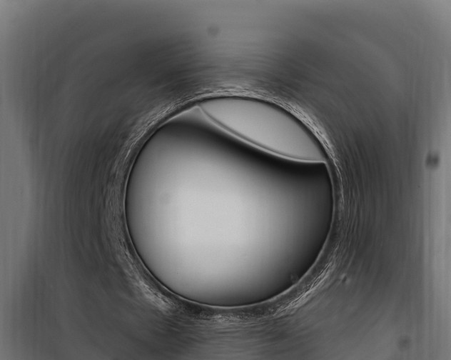 X0000100780481200806191020