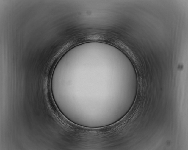 X0000100780482200806191020