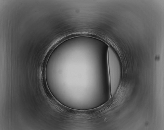 X0000100780483200806191020