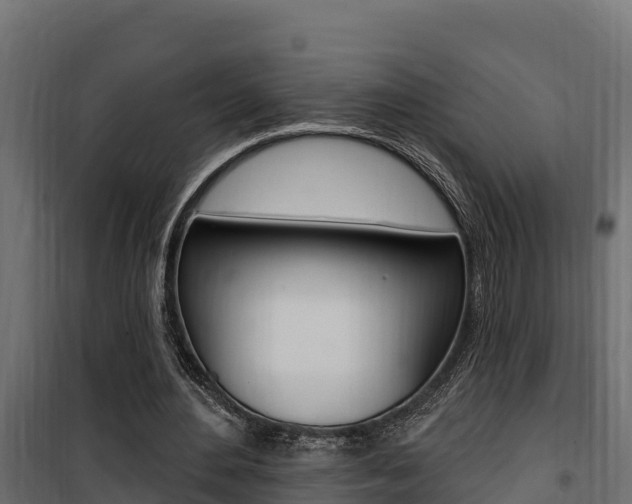 X0000100780484200806191020