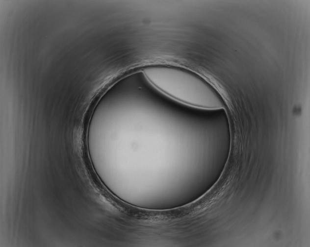 X0000100780485200806191020