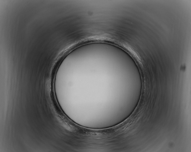 X0000100780486200806191020