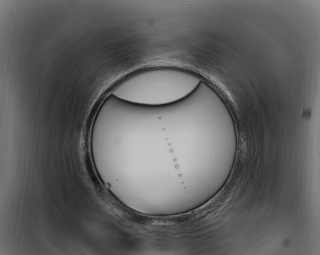 X0000100780487200806191020