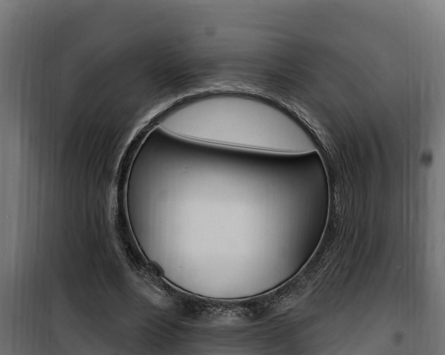 X0000100780488200806191020