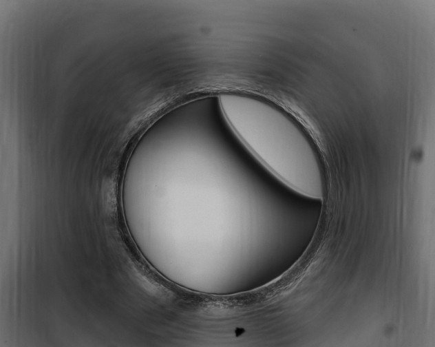 X0000100780489200806191020