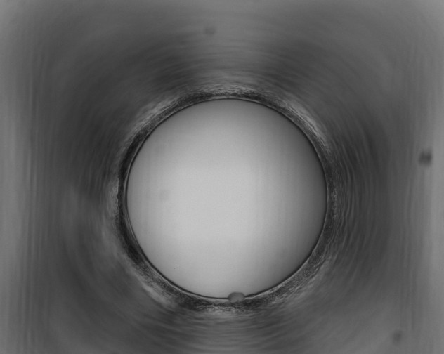 X0000100780490200806191020