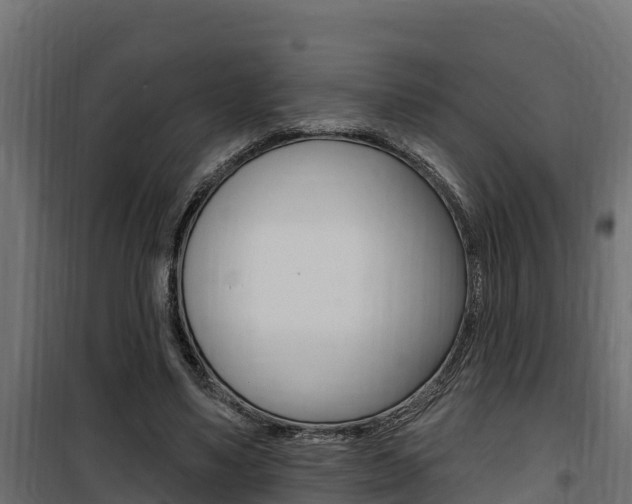 X0000100780491200806191020