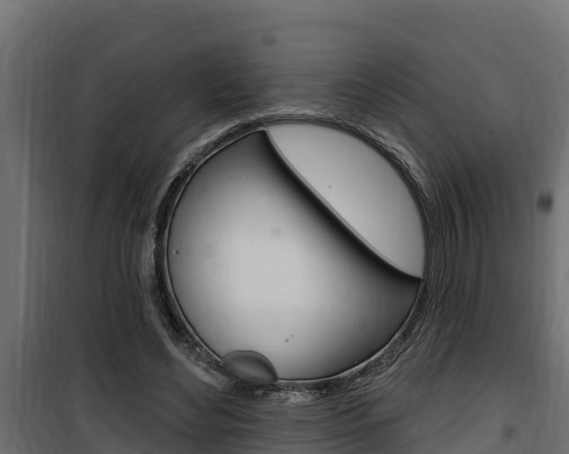 X0000100780492200806191020