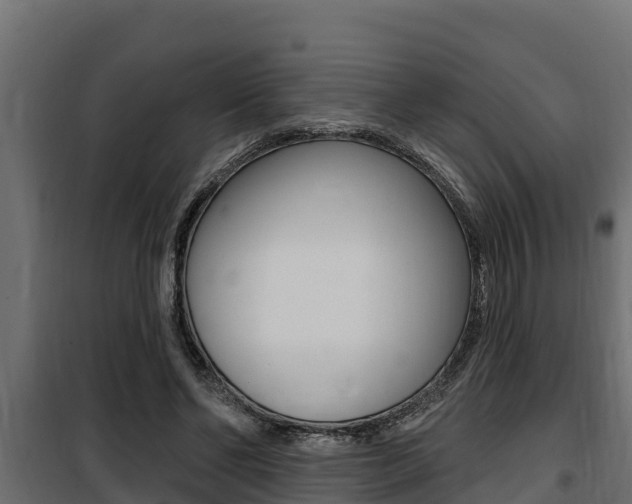 X0000100780494200806191020