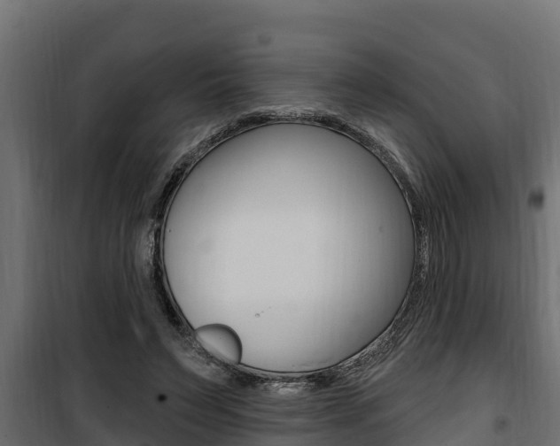 X0000100780495200806191020