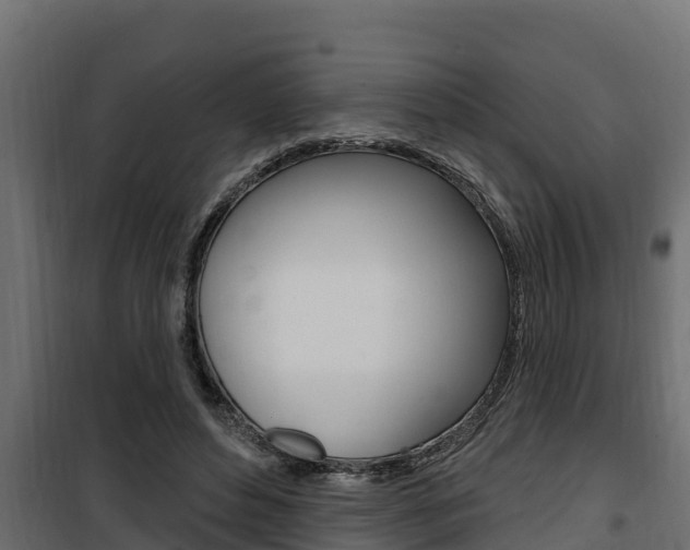 X0000100780496200806191020