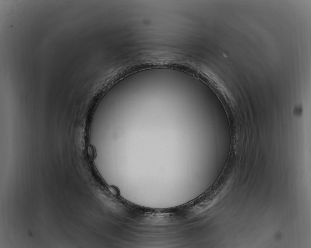 X0000100780497200806191020