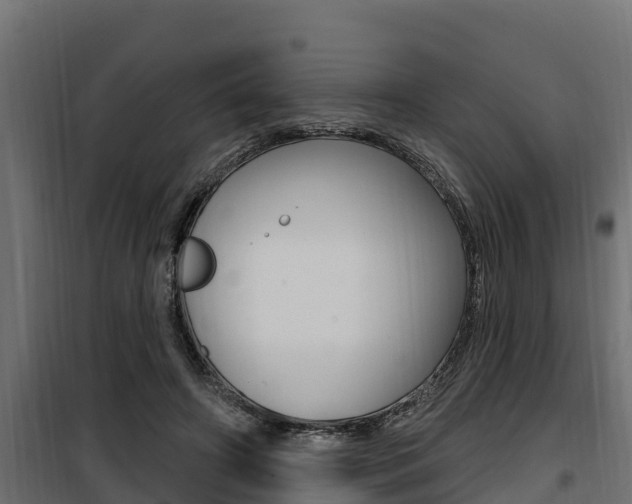 X0000100780498200806191020