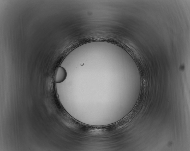 X0000100780499200806191020